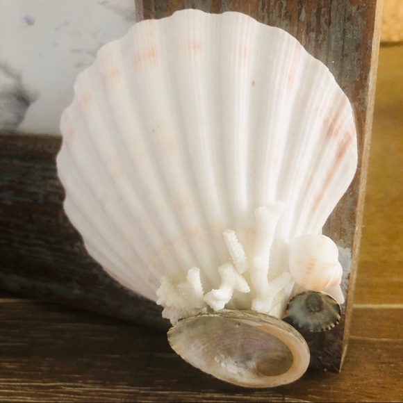 Rustic Wood SEASHELL 8x10 PHOTO FRAME - Picture 7 of 11
